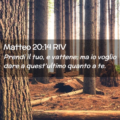 Picture 02 - Matteo 20:14 RIV - Prendi il tuo, e vattene; ma io voglio dare a - Bible Verse Picture