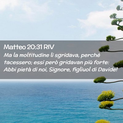 Picture 02 - Matteo 20:31 RIV - Ma la moltitudine li sgridava, perché tacessero; - Bible Verse Picture