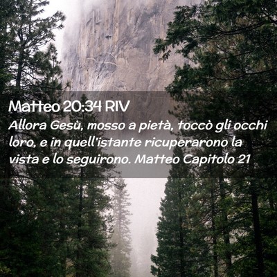 Picture 02 - Matteo 20:34 RIV - Allora Gesù, mosso a pietà, toccò gli occhi - Bible Verse Picture