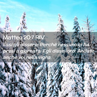 Picture 02 - Matteo 20:7 RIV - Essi gli dissero: Perché nessuno ci ha presi a - Bible Verse Picture