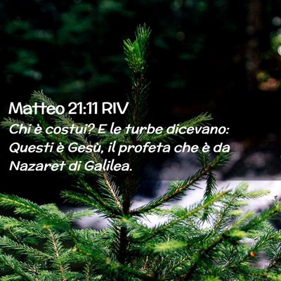 Picture 02 - Matteo 21:11 RIV - Chi è costui? E le turbe dicevano: Questi è - Bible Verse Picture
