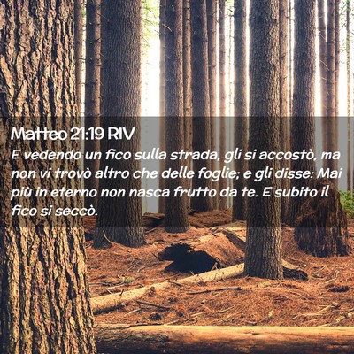 Picture 02 - Matteo 21:19 RIV - E vedendo un fico sulla strada, gli si accostò, - Bible Verse Picture