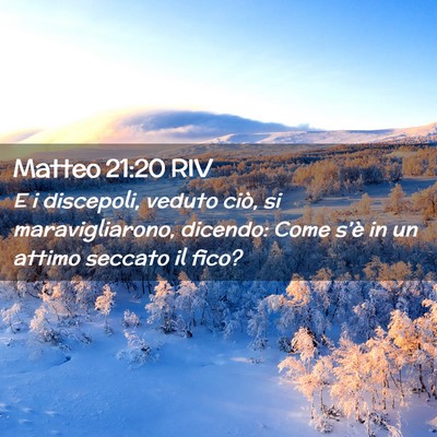 Picture 02 - Matteo 21:20 RIV - E i discepoli, veduto ciò, si maravigliarono, - Bible Verse Picture