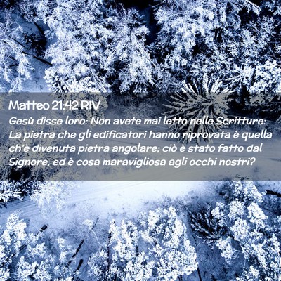 Picture 02 - Matteo 21:42 RIV - Gesù disse loro: Non avete mai letto nelle - Bible Verse Picture
