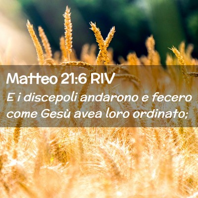 Picture 02 - Matteo 21:6 RIV - E i discepoli andarono e fecero come Gesù avea - Bible Verse Picture