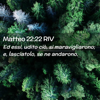 Picture 02 - Matteo 22:22 RIV - Ed essi, udito ciò, si maravigliarono; e, - Bible Verse Picture