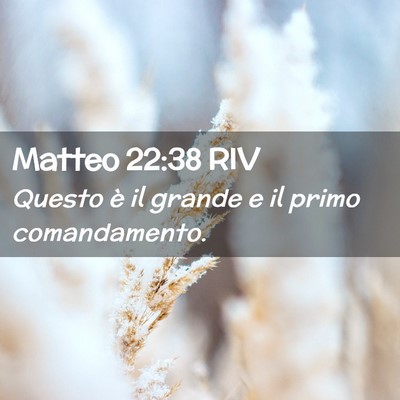 Picture 02 - Matteo 22:38 RIV - Questo è il grande e il primo - Bible Verse Picture