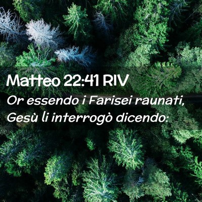 Picture 02 - Matteo 22:41 RIV - Or essendo i Farisei raunati, Gesù li interrogò - Bible Verse Picture
