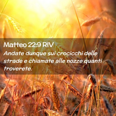 Picture 02 - Matteo 22:9 RIV - Andate dunque sui crocicchi delle strade e - Bible Verse Picture