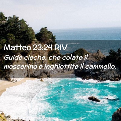 Picture 02 - Matteo 23:24 RIV - Guide cieche, che colate il moscerino e - Bible Verse Picture