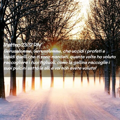 Picture 02 - Matteo 23:37 RIV - Gerusalemme, Gerusalemme, che uccidi i profeti e - Bible Verse Picture
