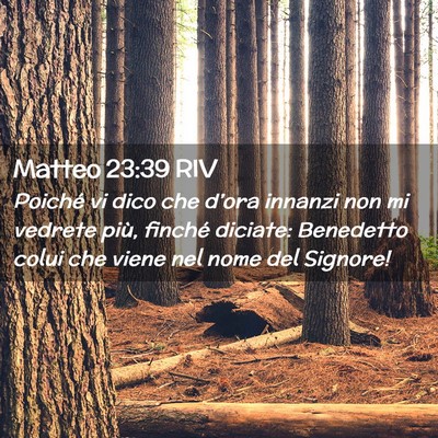 Picture 02 - Matteo 23:39 RIV - Poiché vi dico che d’ora innanzi non mi - Bible Verse Picture