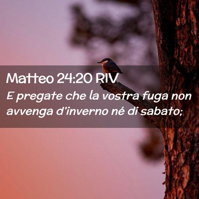Picture 02 - Matteo 24:20 RIV - E pregate che la vostra fuga non avvenga - Bible Verse Picture
