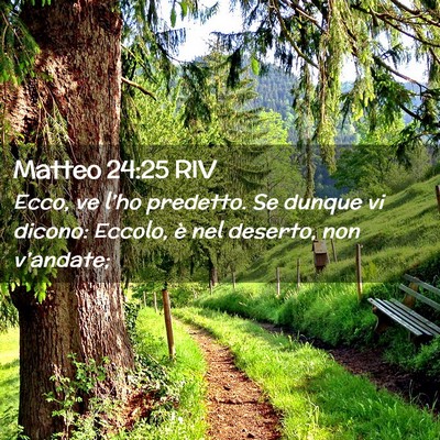 Picture 02 - Matteo 24:25 RIV - Ecco, ve l’ho predetto. Se dunque vi dicono: - Bible Verse Picture
