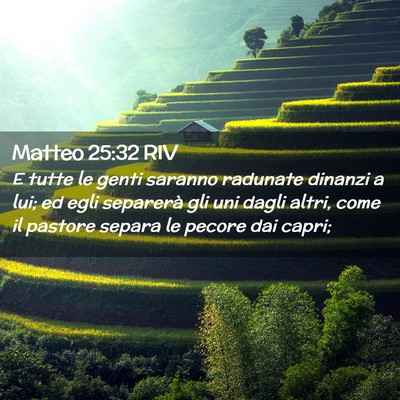 Picture 02 - Matteo 25:32 RIV - E tutte le genti saranno radunate dinanzi a lui; - Bible Verse Picture