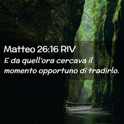 Picture 02 - Matteo 26:16 RIV - E da quell’ora cercava il momento opportuno di - Bible Verse Picture