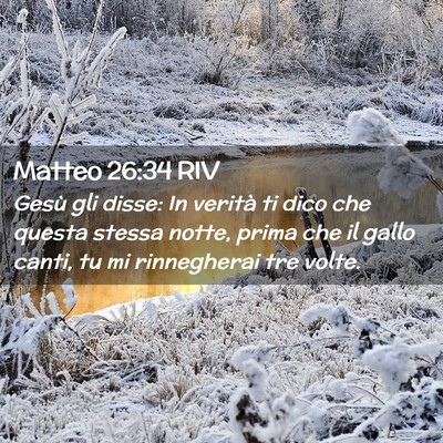 Picture 02 - Matteo 26:34 RIV - Gesù gli disse: In verità ti dico che questa - Bible Verse Picture