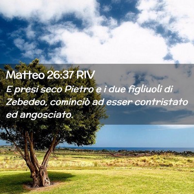 Picture 02 - Matteo 26:37 RIV - E presi seco Pietro e i due figliuoli di Zebedeo, - Bible Verse Picture