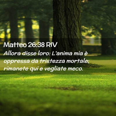 Picture 02 - Matteo 26:38 RIV - Allora disse loro: L’anima mia è oppressa da - Bible Verse Picture