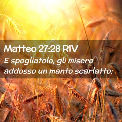 Picture 02 - Matteo 27:28 RIV - E spogliatolo, gli misero addosso un manto - Bible Verse Picture