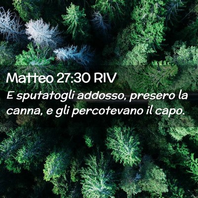 Picture 02 - Matteo 27:30 RIV - E sputatogli addosso, presero la canna, e gli - Bible Verse Picture