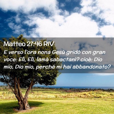 Picture 02 - Matteo 27:46 RIV - E verso l’ora nona Gesù gridò con gran voce: - Bible Verse Picture