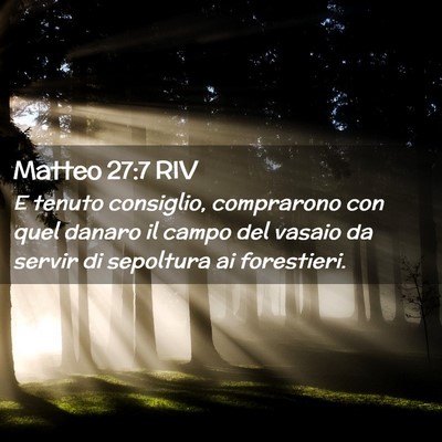 Picture 02 - Matteo 27:7 RIV - E tenuto consiglio, comprarono con quel danaro il - Bible Verse Picture
