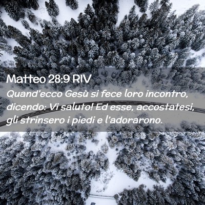 Picture 02 - Matteo 28:9 RIV - Quand’ecco Gesù si fece loro incontro, - Bible Verse Picture