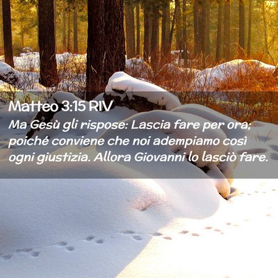 Picture 02 - Matteo 3:15 RIV - Ma Gesù gli rispose: Lascia fare per ora; - Bible Verse Picture