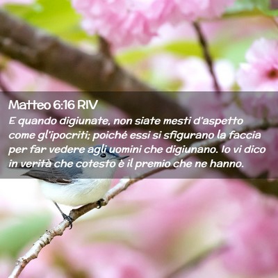 Picture 02 - Matteo 6:16 RIV - E quando digiunate, non siate mesti d’aspetto - Bible Verse Picture