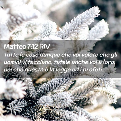 Picture 02 - Matteo 7:12 RIV - Tutte le cose dunque che voi volete che gli - Bible Verse Picture