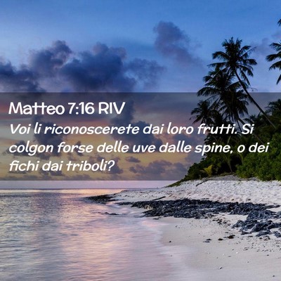 Picture 02 - Matteo 7:16 RIV - Voi li riconoscerete dai loro frutti. Si colgon - Bible Verse Picture