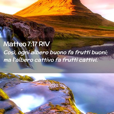 Picture 02 - Matteo 7:17 RIV - Così, ogni albero buono fa frutti buoni; ma - Bible Verse Picture