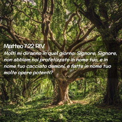 Picture 02 - Matteo 7:22 RIV - Molti mi diranno in quel giorno: Signore, - Bible Verse Picture