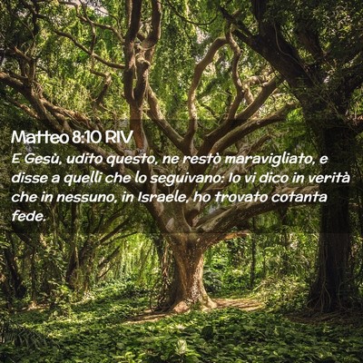 Picture 02 - Matteo 8:10 RIV - E Gesù, udito questo, ne restò maravigliato, e - Bible Verse Picture