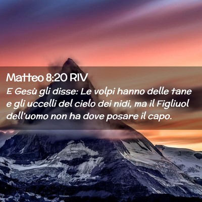 Picture 02 - Matteo 8:20 RIV - E Gesù gli disse: Le volpi hanno delle tane e - Bible Verse Picture