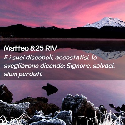 Picture 02 - Matteo 8:25 RIV - E i suoi discepoli, accostatisi, lo svegliarono - Bible Verse Picture