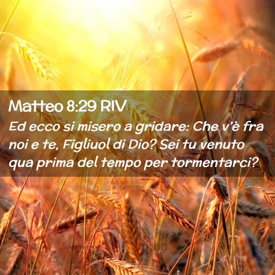 Picture 02 - Matteo 8:29 RIV - Ed ecco si misero a gridare: Che v’è fra noi e - Bible Verse Picture