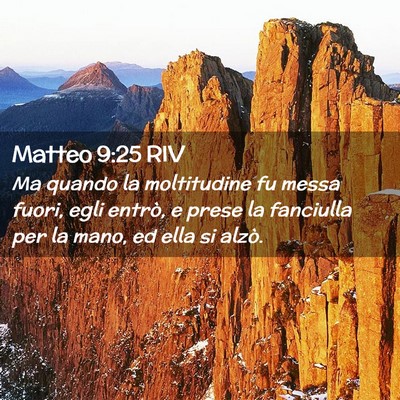 Picture 02 - Matteo 9:25 RIV - Ma quando la moltitudine fu messa fuori, egli - Bible Verse Picture