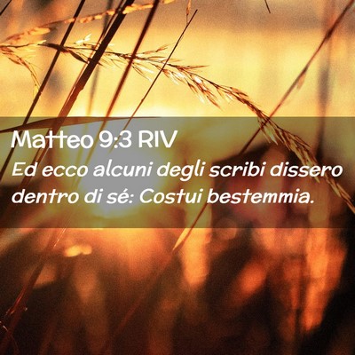 Picture 02 - Matteo 9:3 RIV - Ed ecco alcuni degli scribi dissero dentro di - Bible Verse Picture