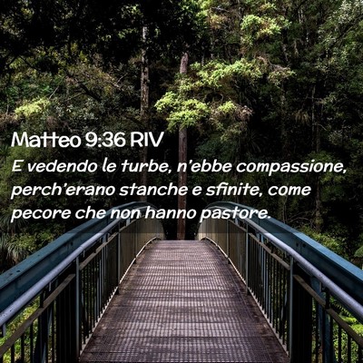Picture 02 - Matteo 9:36 RIV - E vedendo le turbe, n’ebbe compassione, - Bible Verse Picture