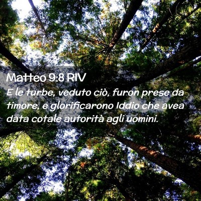 Picture 02 - Matteo 9:8 RIV - E le turbe, veduto ciò, furon prese da timore, e - Bible Verse Picture