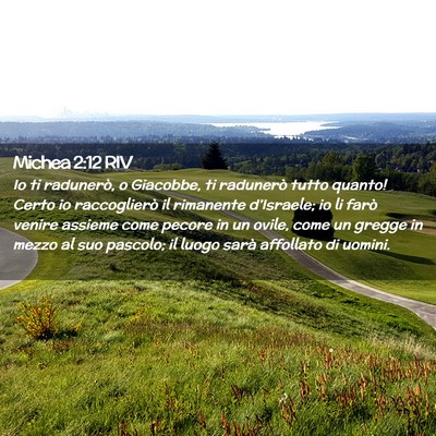 Picture 02 - Michea 2:12 RIV - Io ti radunerò, o Giacobbe, ti radunerò tutto - Bible Verse Picture