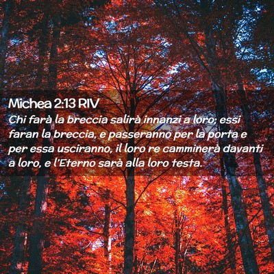 Picture 02 - Michea 2:13 RIV - Chi farà la breccia salirà innanzi a loro; essi - Bible Verse Picture
