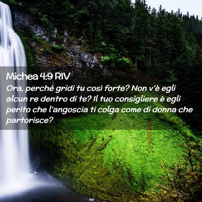 Picture 02 - Michea 4:9 RIV - Ora, perché gridi tu così forte? Non v’è - Bible Verse Picture