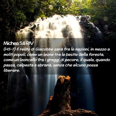 Picture 02 - Michea 5:8 RIV - (H5-7) Il resto di Giacobbe sarà fra le nazioni, - Bible Verse Picture