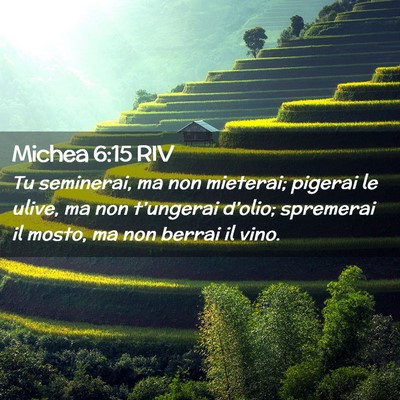 Picture 02 - Michea 6:15 RIV - Tu seminerai, ma non mieterai; pigerai le ulive, - Bible Verse Picture