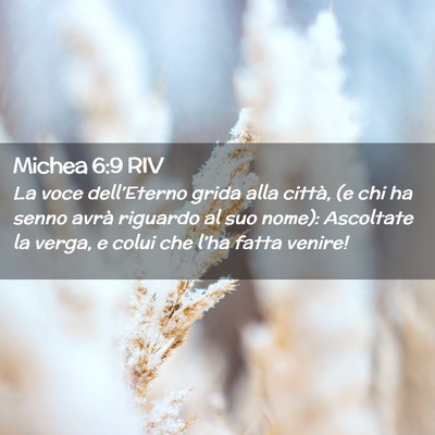 Picture 02 - Michea 6:9 RIV - La voce dell’Eterno grida alla città, (e chi - Bible Verse Picture