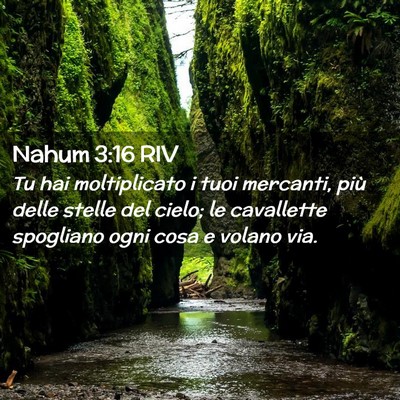 Picture 02 - Nahum 3:16 RIV - Tu hai moltiplicato i tuoi mercanti, più delle - Bible Verse Picture
