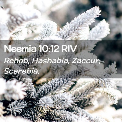 Picture 02 - Neemia 10:12 RIV - Rehob, Hashabia, Zaccur, - Bible Verse Picture